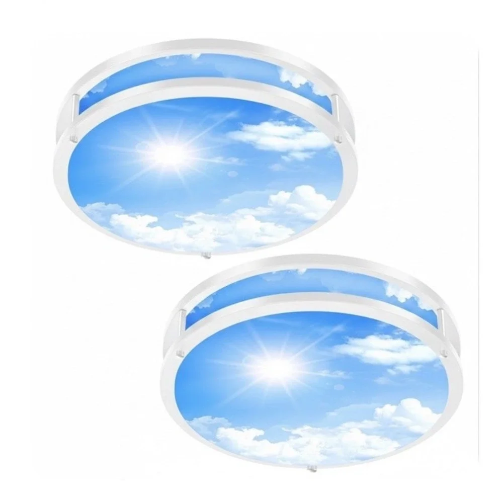 2-Pack 12 Inch LED Flush Mount Ceiling Light Fixture White Iron Body